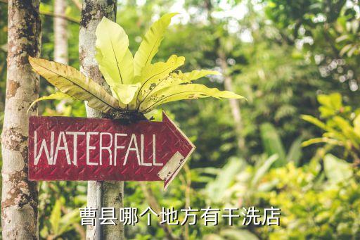 曹縣汽車內飾精洗廠家有哪些，曹縣泰通生物科技有限公司...